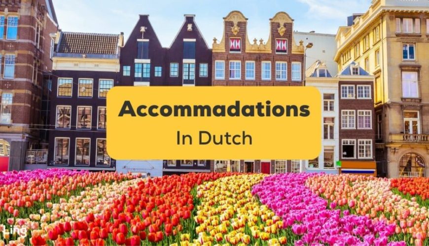 Accommodation Options in Netherlands