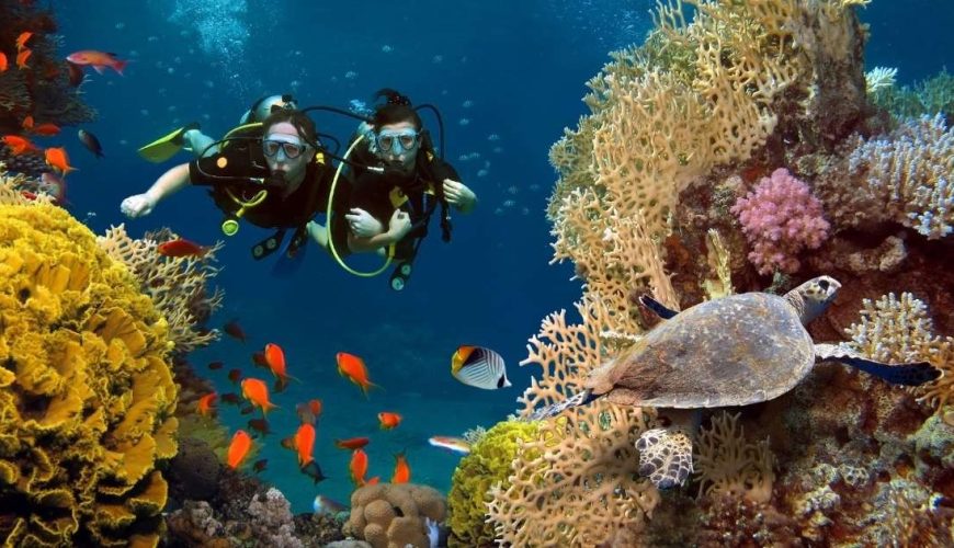 Scuba diving