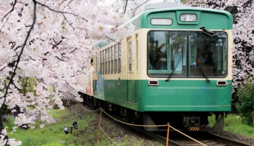 Local Transportation in Japan A Guide for Seamless Travel